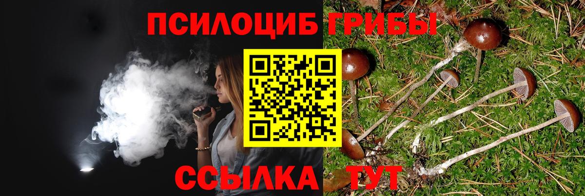 Галлюциногенные грибы мухоморы Берёзовский