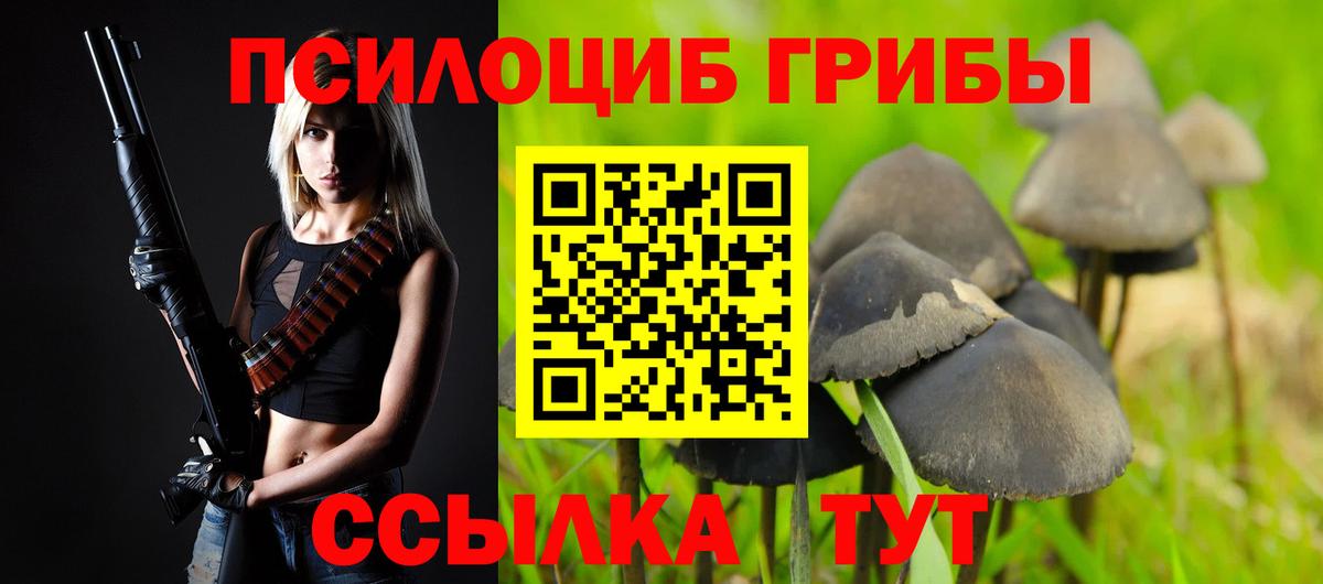 Псилоцибиновые грибы мухоморы  дарнет шоп  Псилоцибиновые грибы прущие грибы  Берёзовский  Вход с VPN 